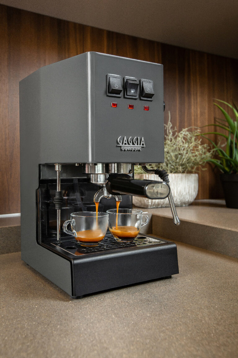 Gaggia Classic E24 šedá - Image 2