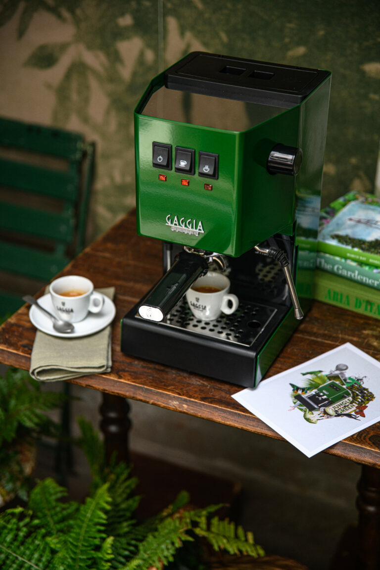 Gaggia Classic E24 zelená - Image 11