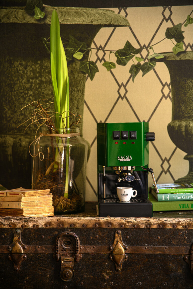Gaggia Classic E24 zelená - Image 18