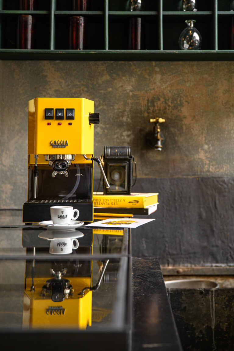 Gaggia Classic E24 žlutá - Image 9